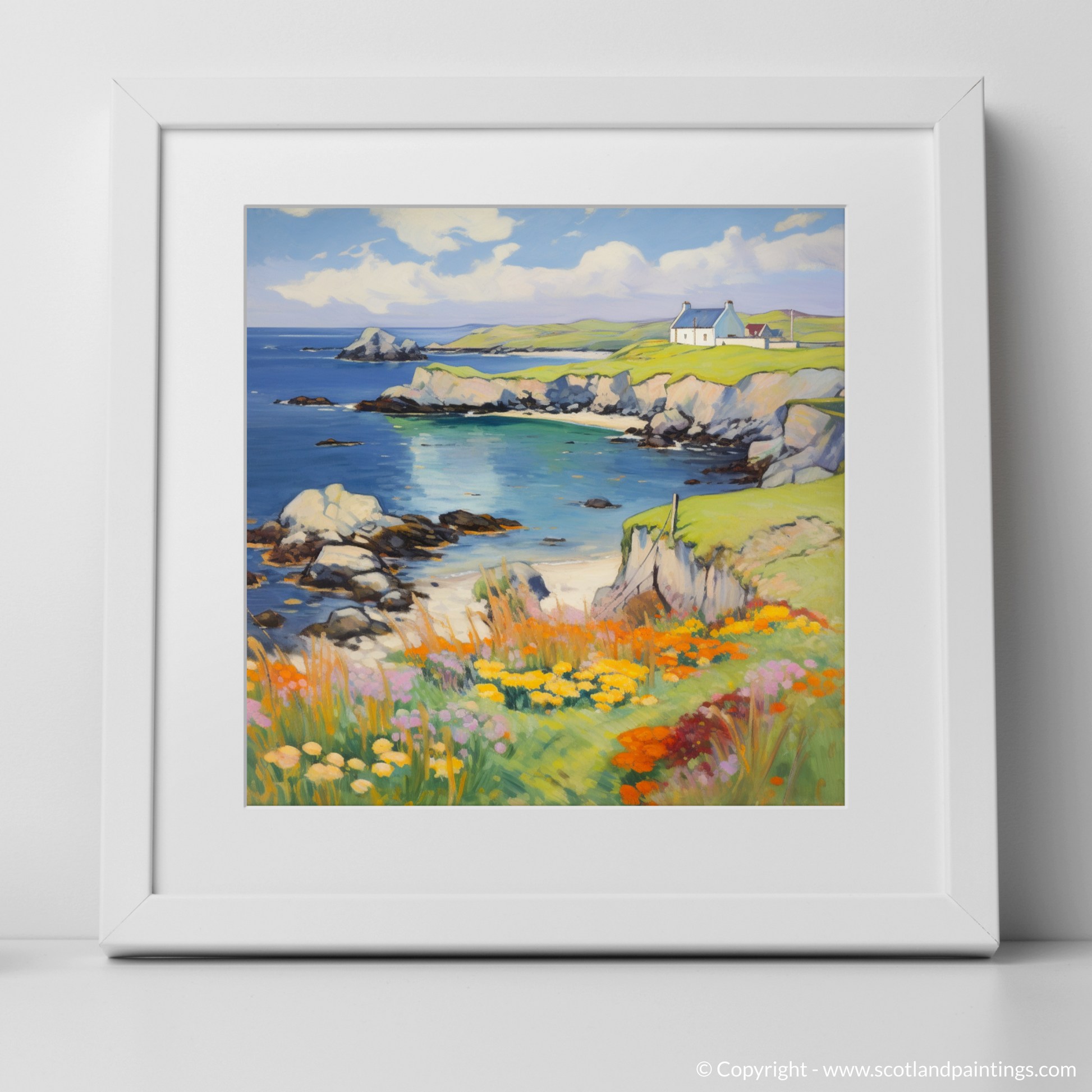 Art Print of Shetland, North of mainland Scotland in summer with a white frame