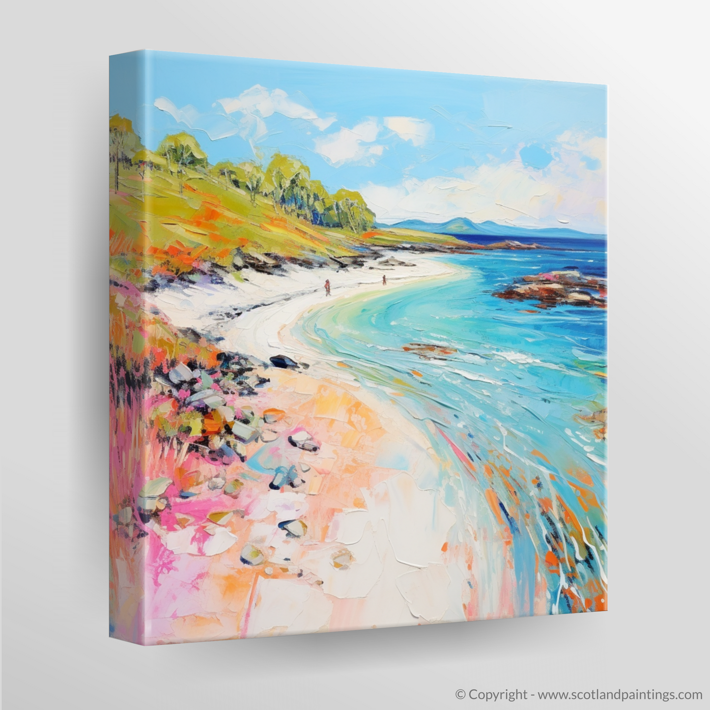 Canvas Print of Coral Beach, Isle of Skye in summer