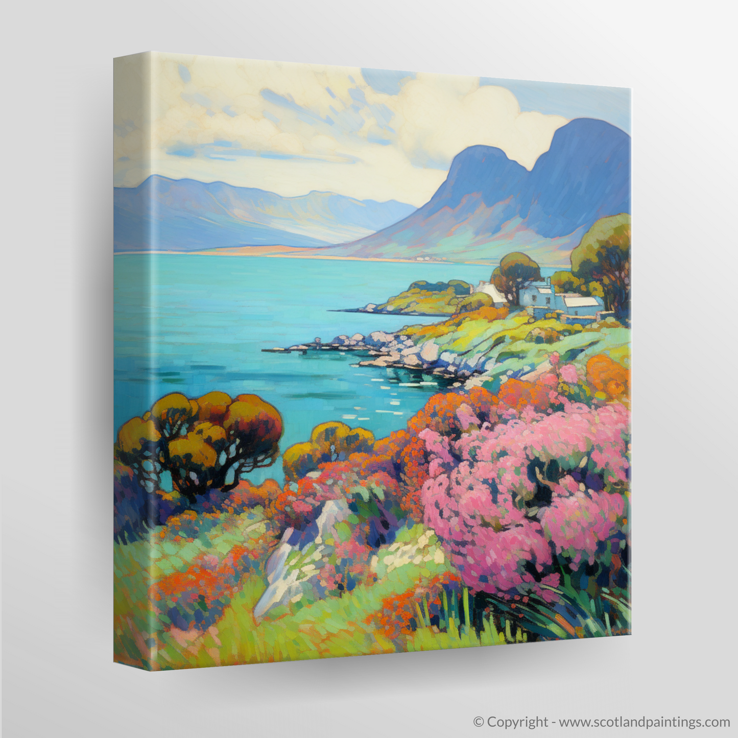 Canvas Print of Isle of Raasay, Inner Hebrides in summer