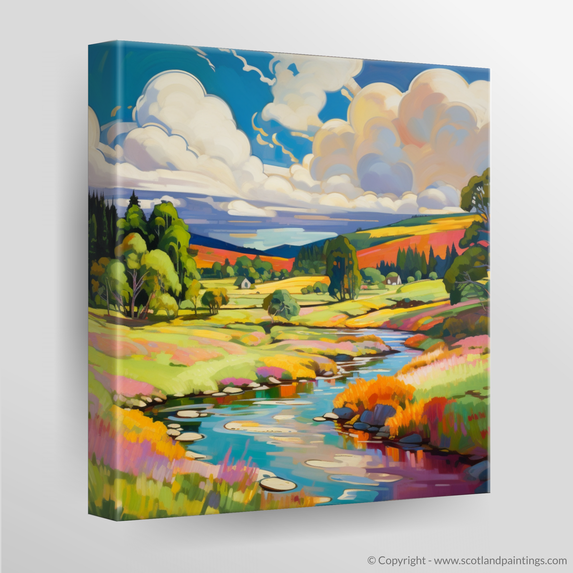 Canvas Print of Glen Tanar, Aberdeenshire in summer