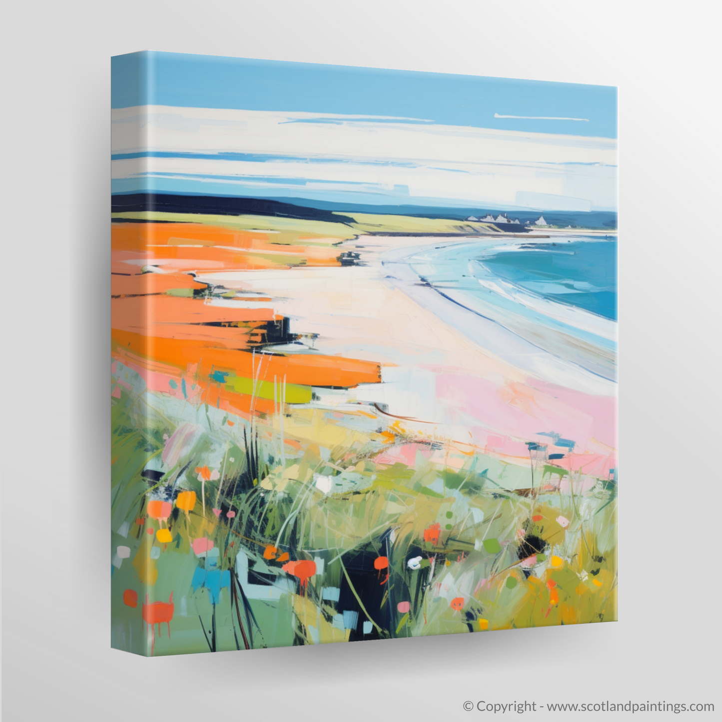 Canvas Print of Lunan Bay, Angus in summer