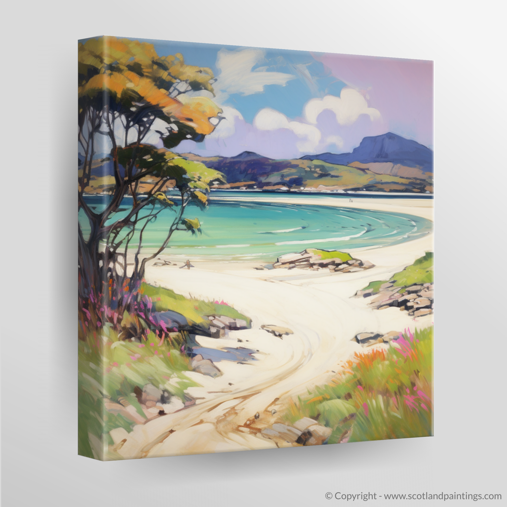 Canvas Print of Silver Sands of Morar in summer