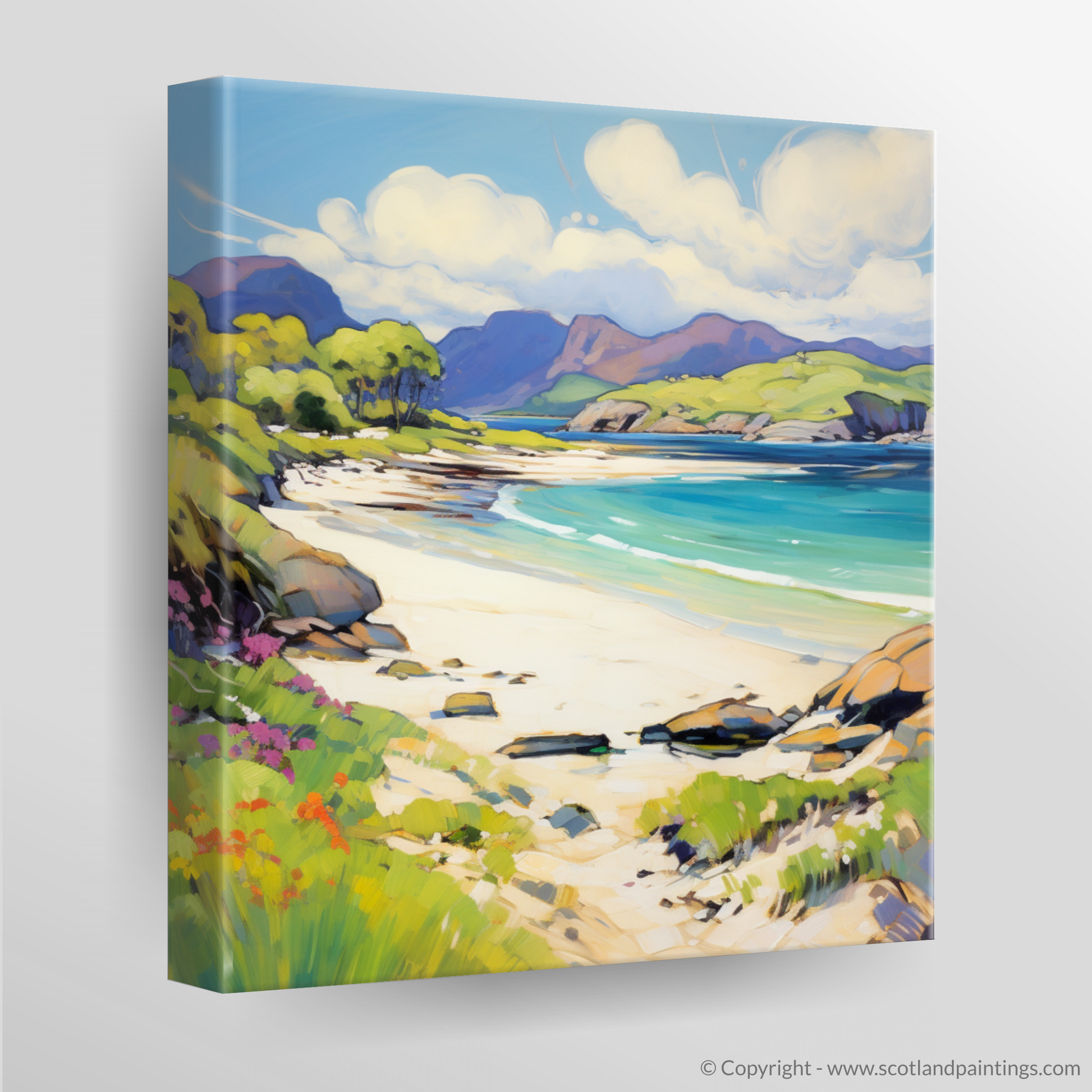 Canvas Print of Silver Sands of Morar in summer