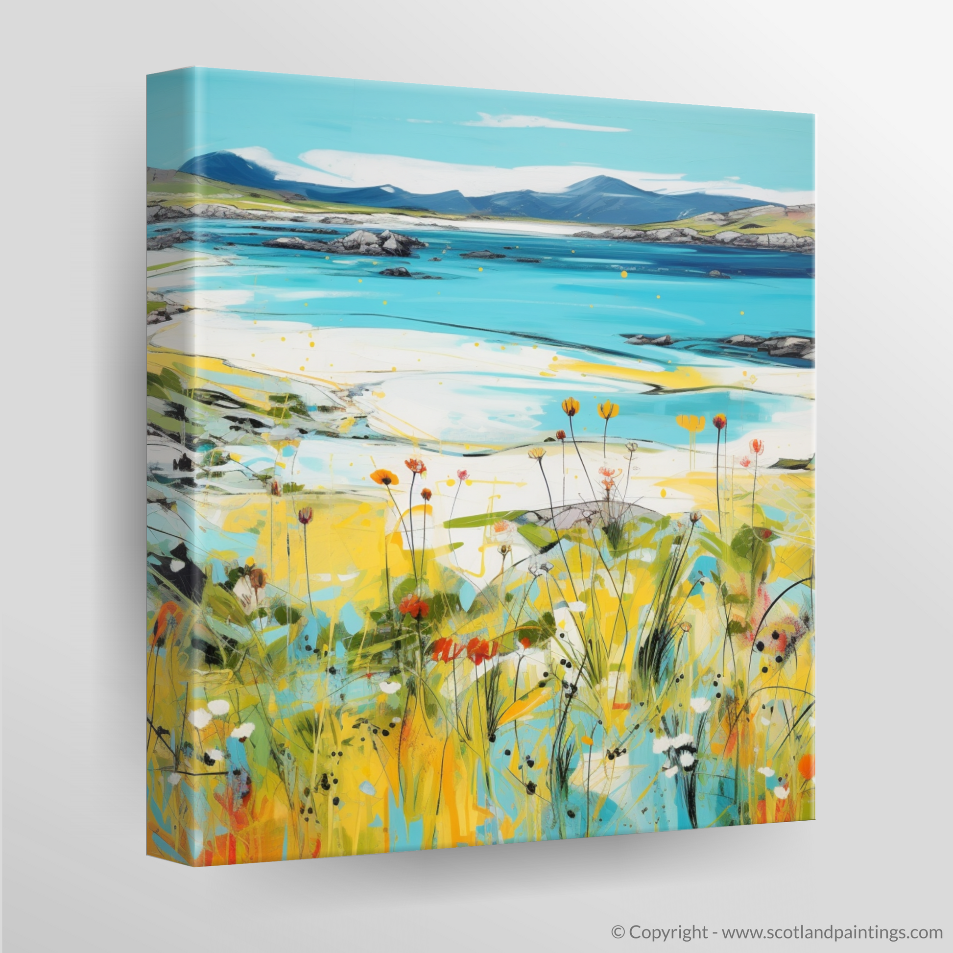 Canvas Print of Isle of Harris, Outer Hebrides in summer