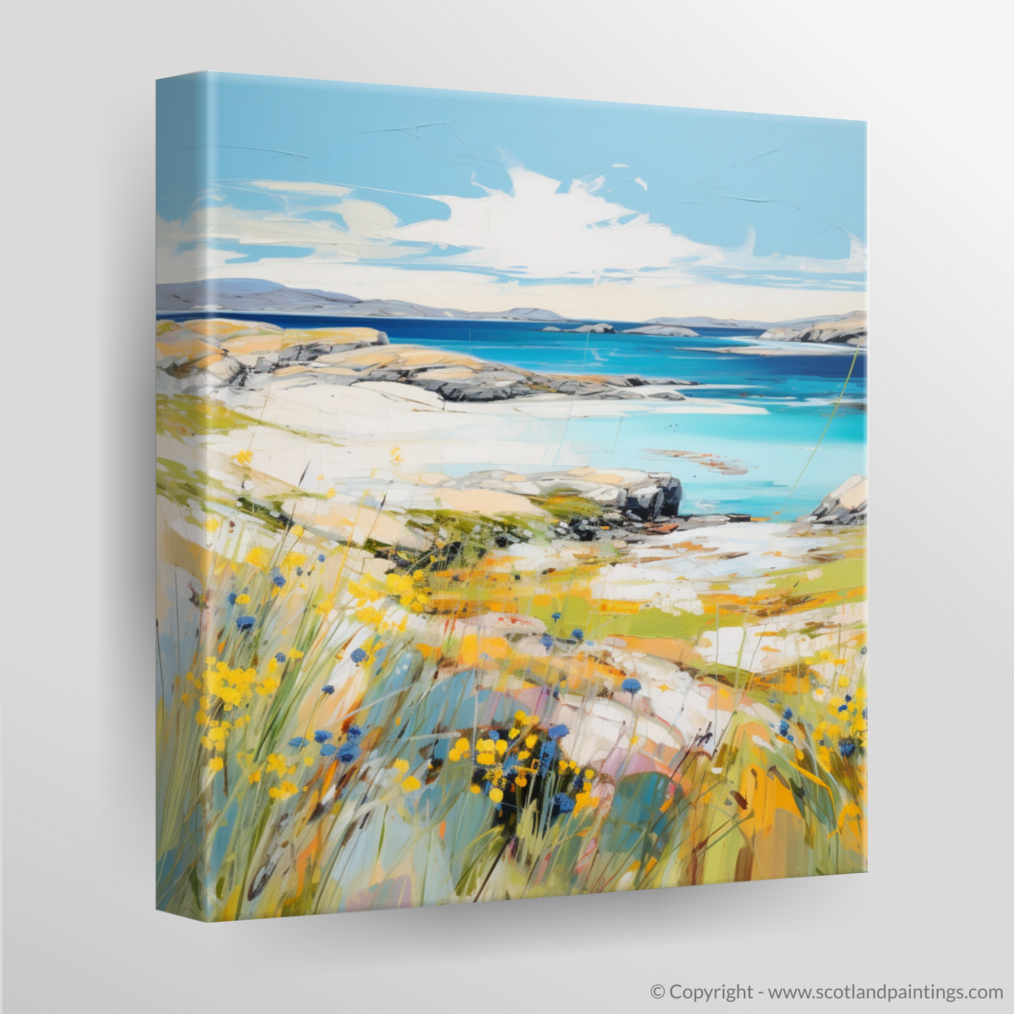 Canvas Print of Isle of Harris, Outer Hebrides in summer