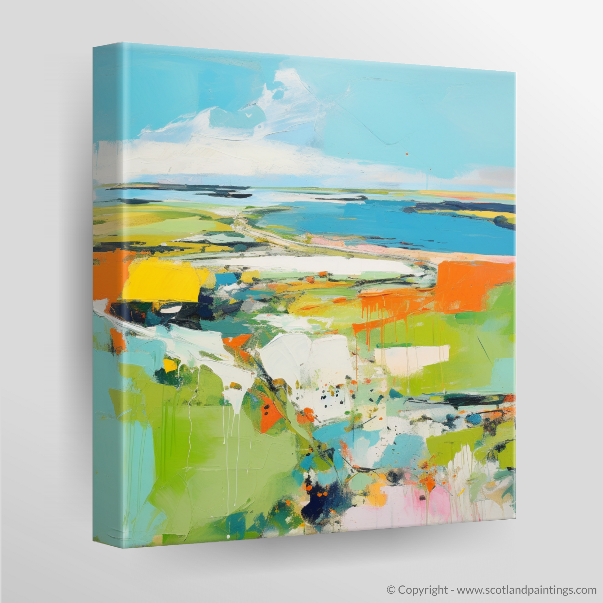 Canvas Print of Orkney, North of mainland Scotland in summer