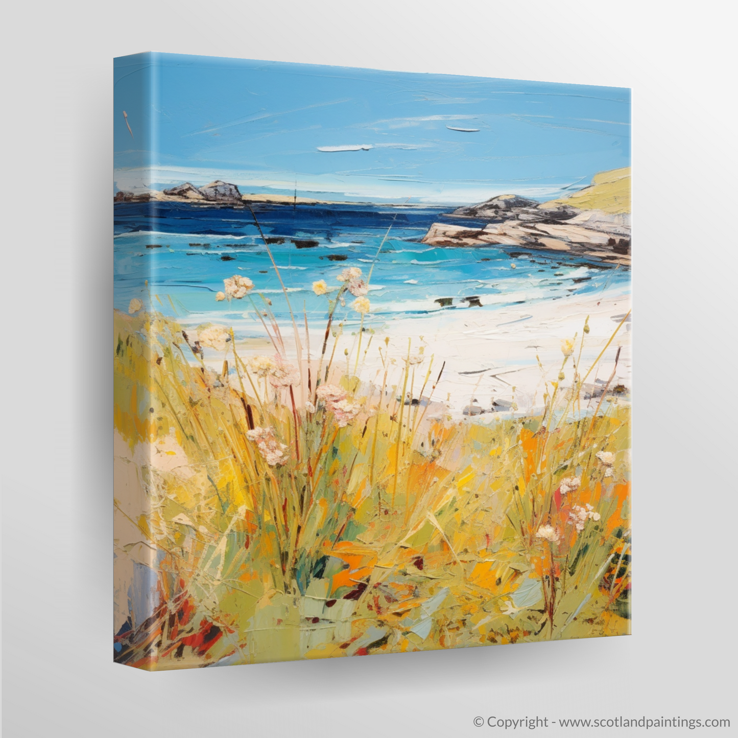 Summer Serenade at Achmelvich Beach