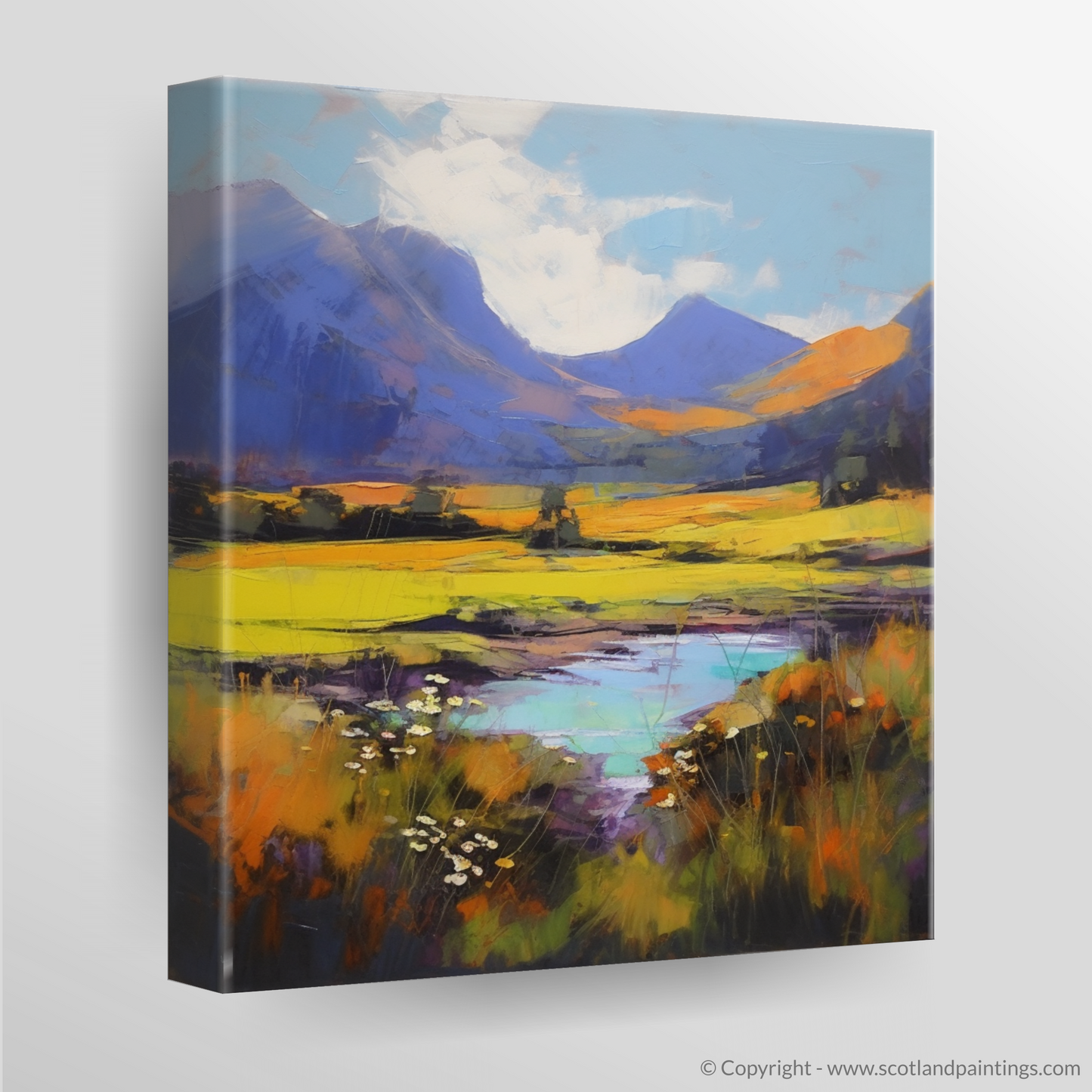 Whispers of Glencoe: An Expressionist Ode to Mountain Avens