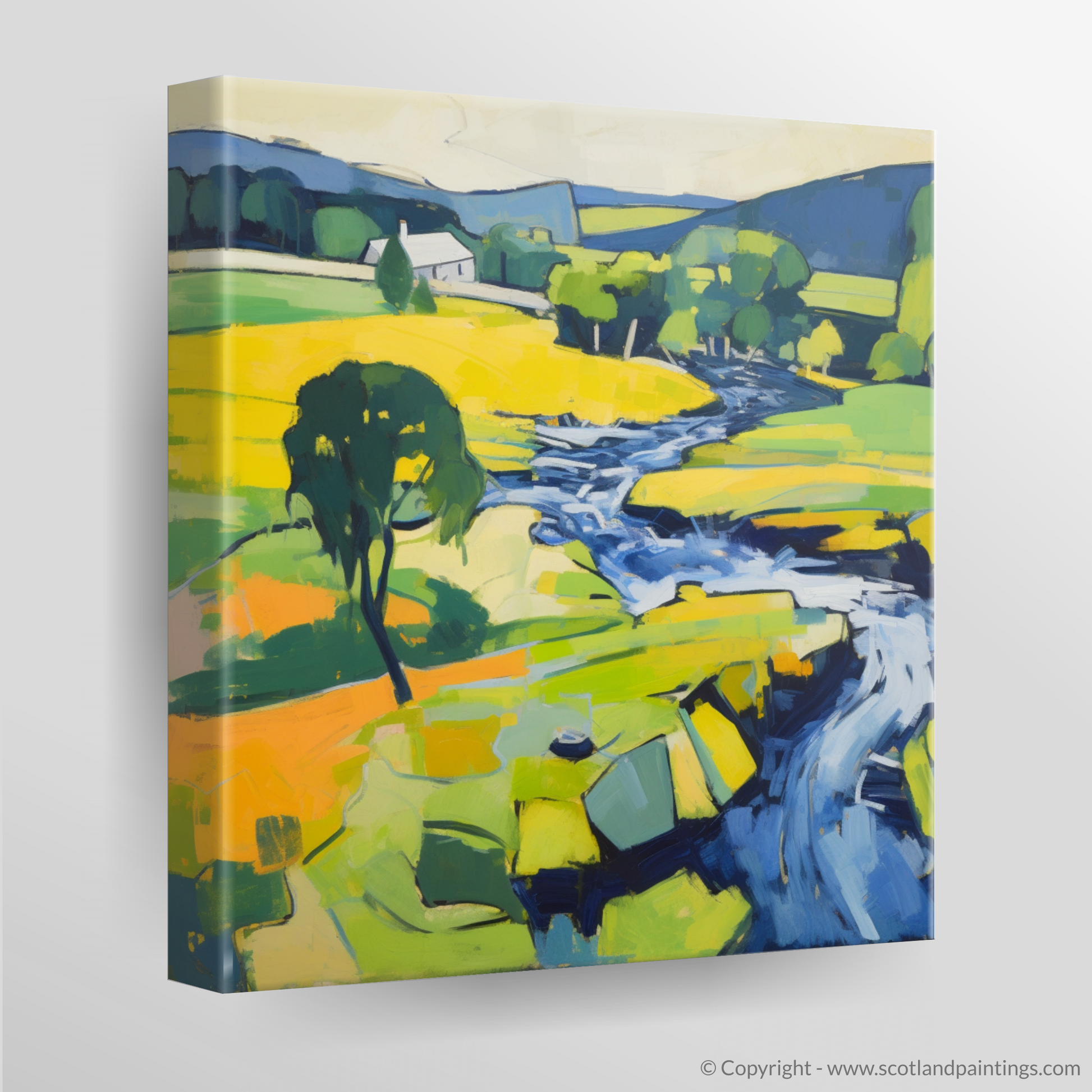 Canvas Print of River Earn, Perthshire in summer