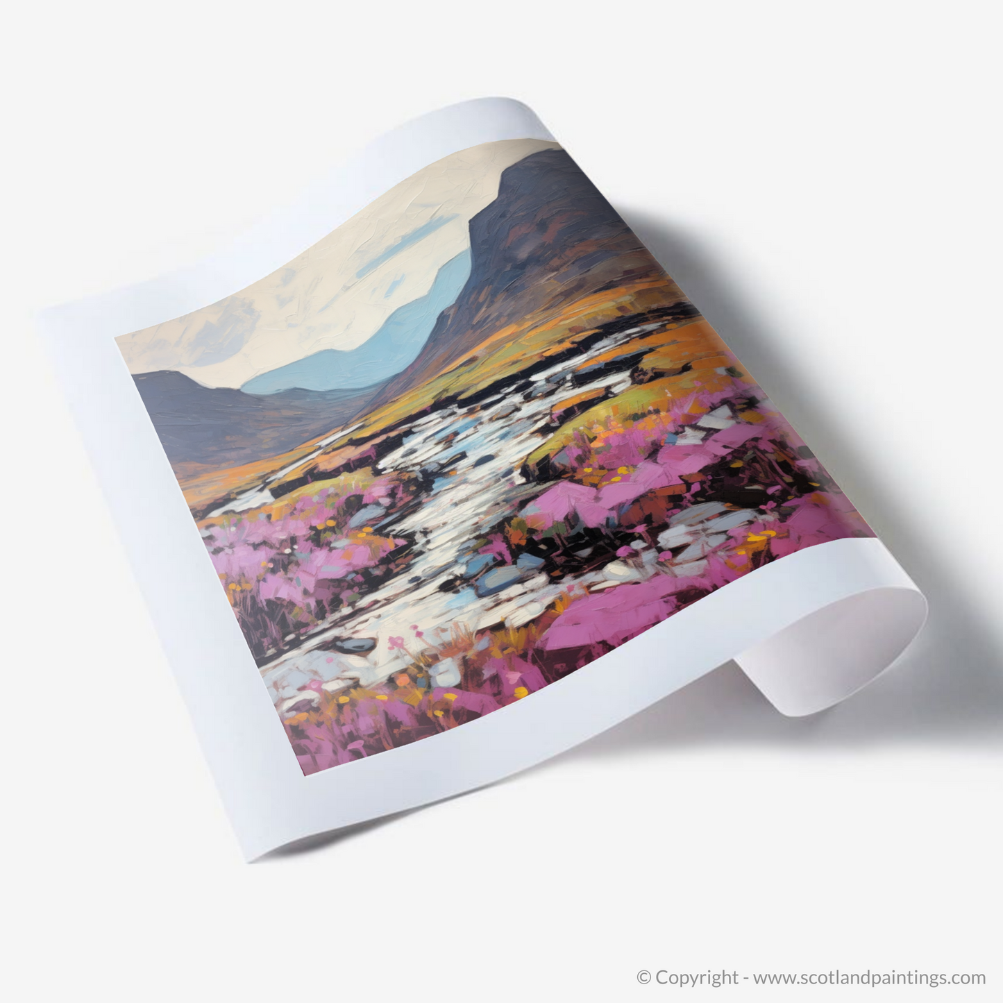 Art Print of Heather blooms by River Coe in Glencoe