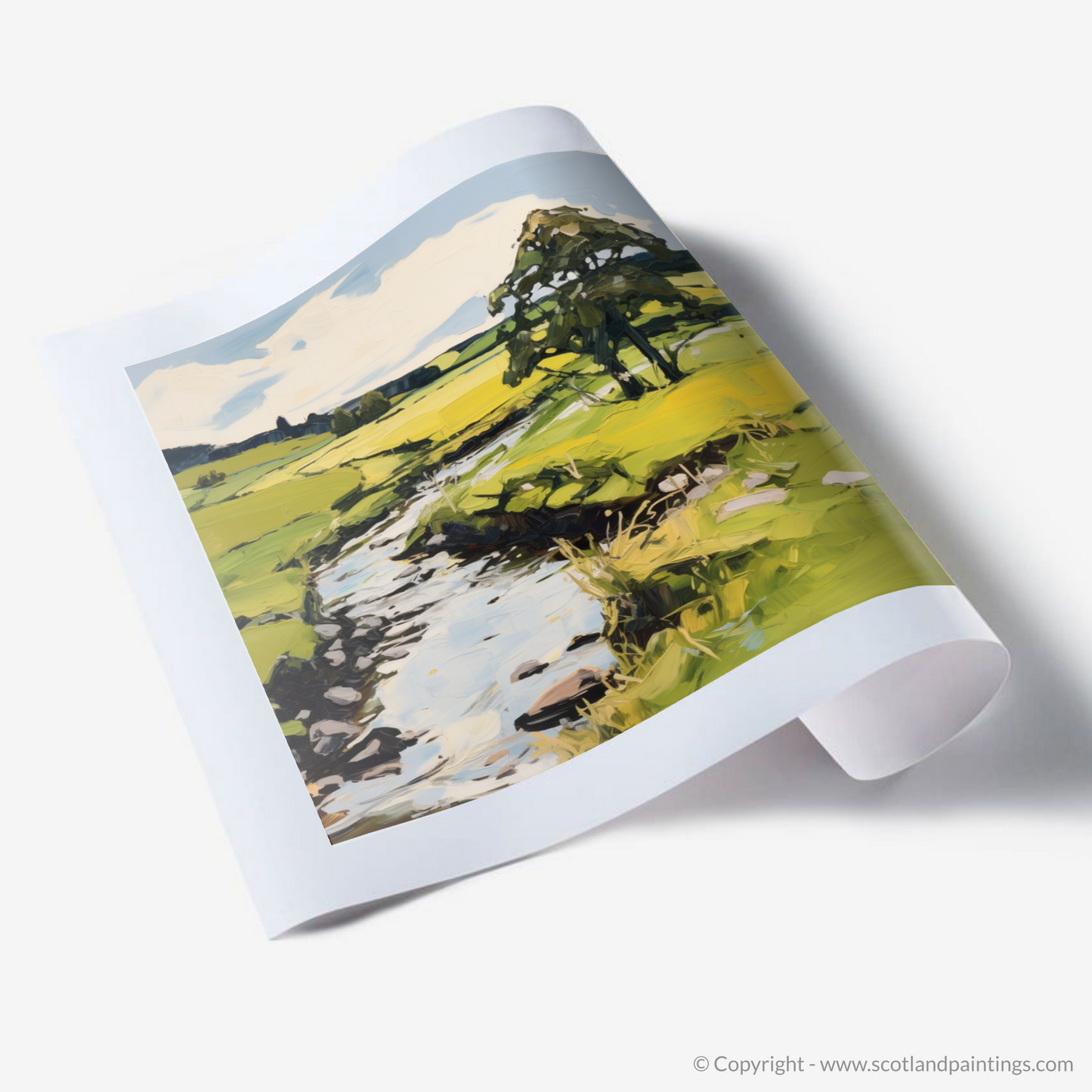 Art Print of River Deveron, Aberdeenshire in summer