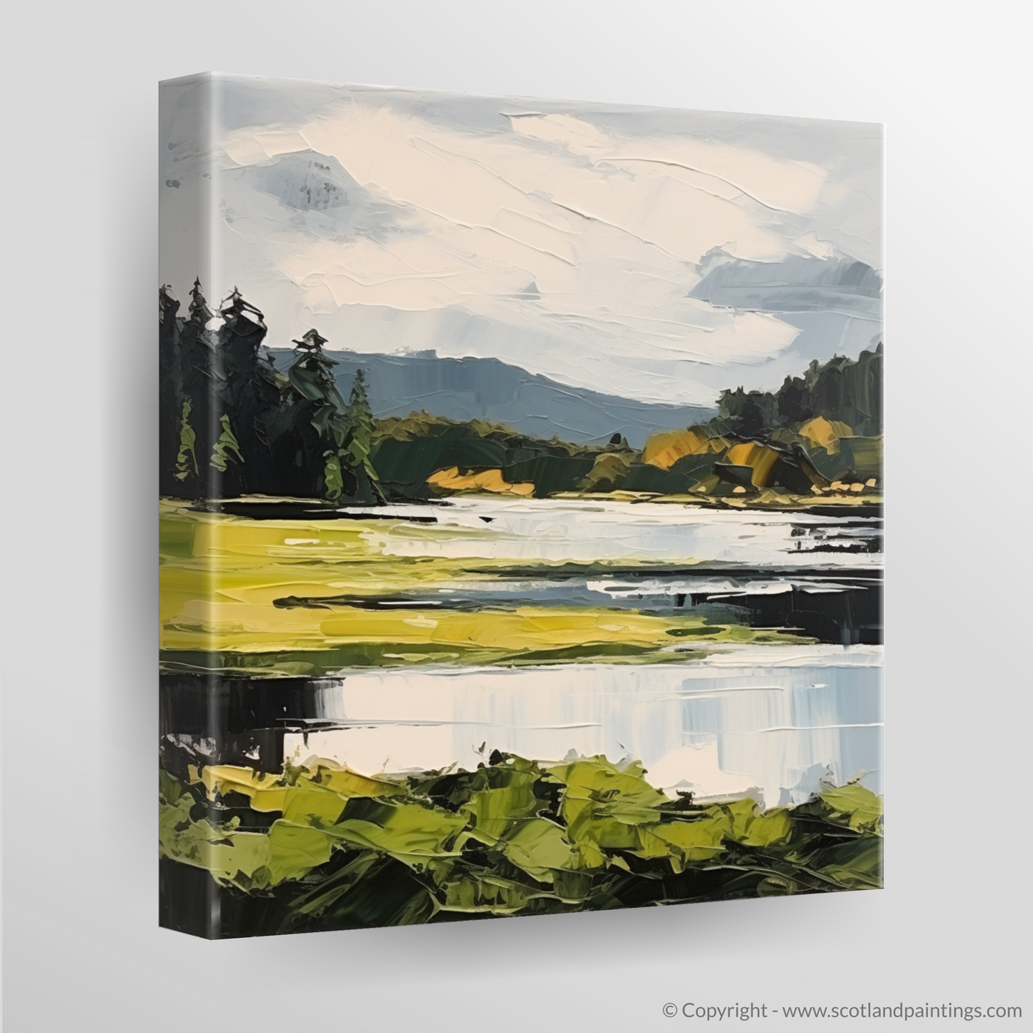 Canvas Print of Loch Ard, Stirling in summer