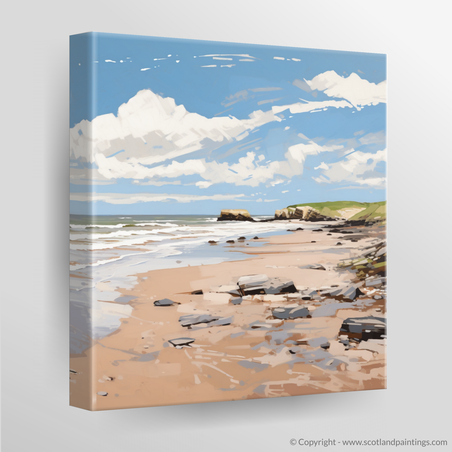 Canvas Print of St Cyrus Beach, Aberdeenshire in summer