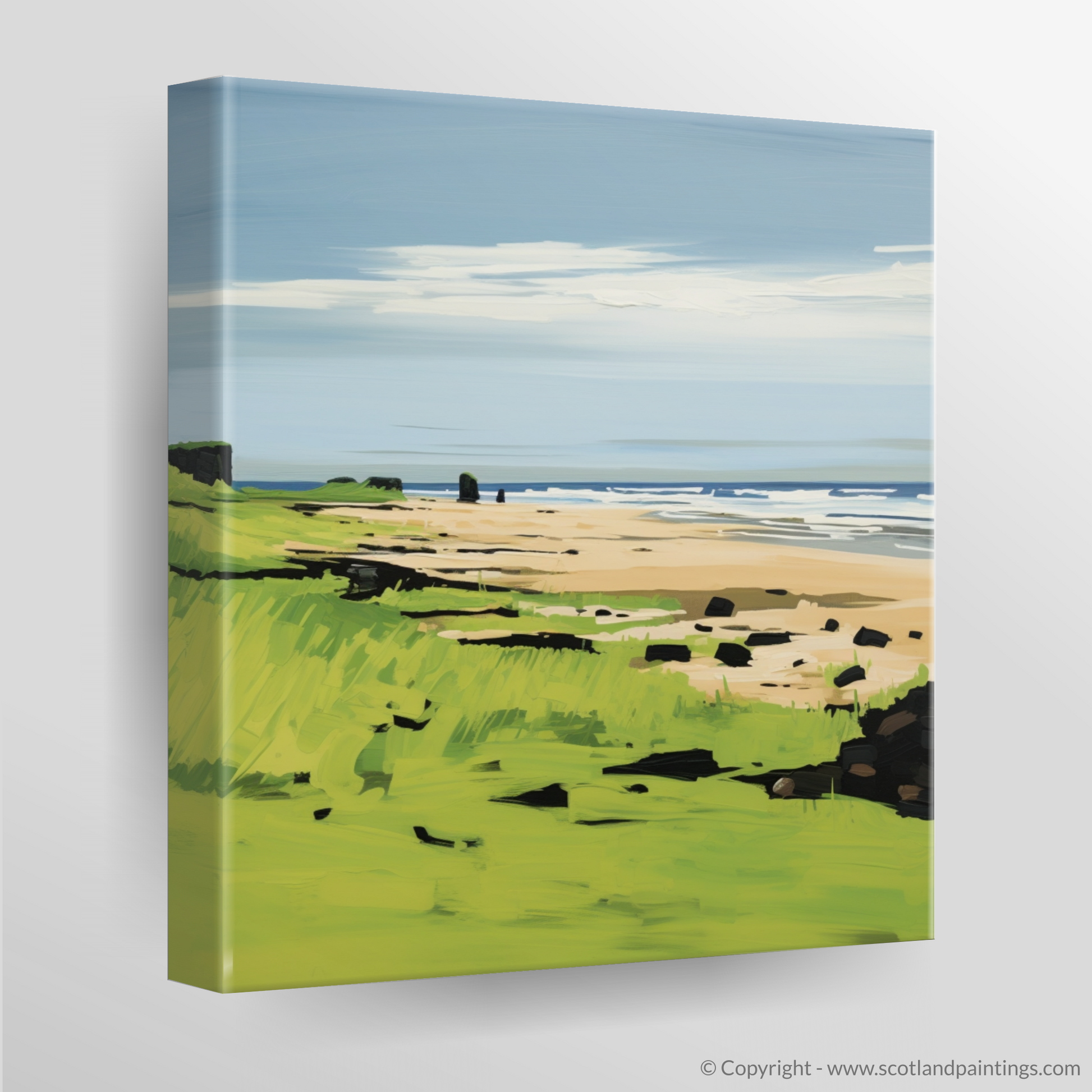 Canvas Print of St Cyrus Beach, Aberdeenshire in summer