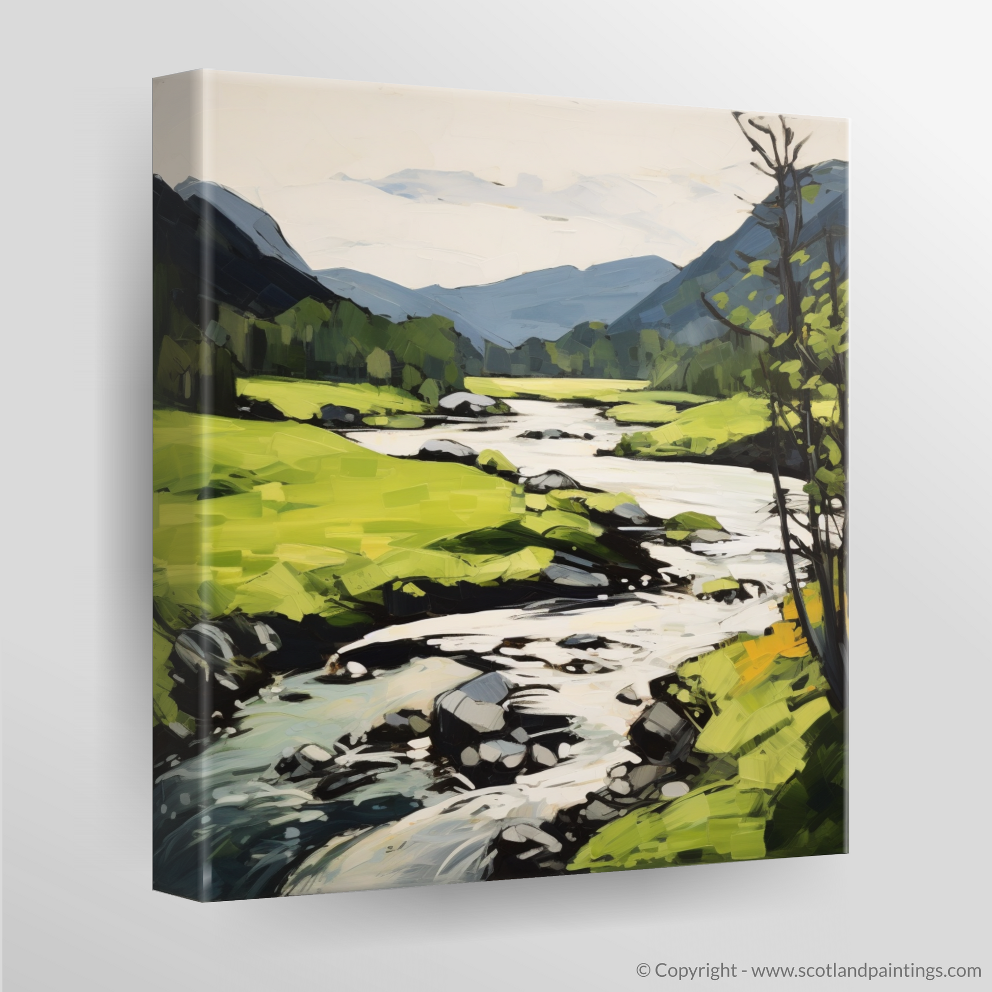 Canvas Print of River Garry, Highlands in summer