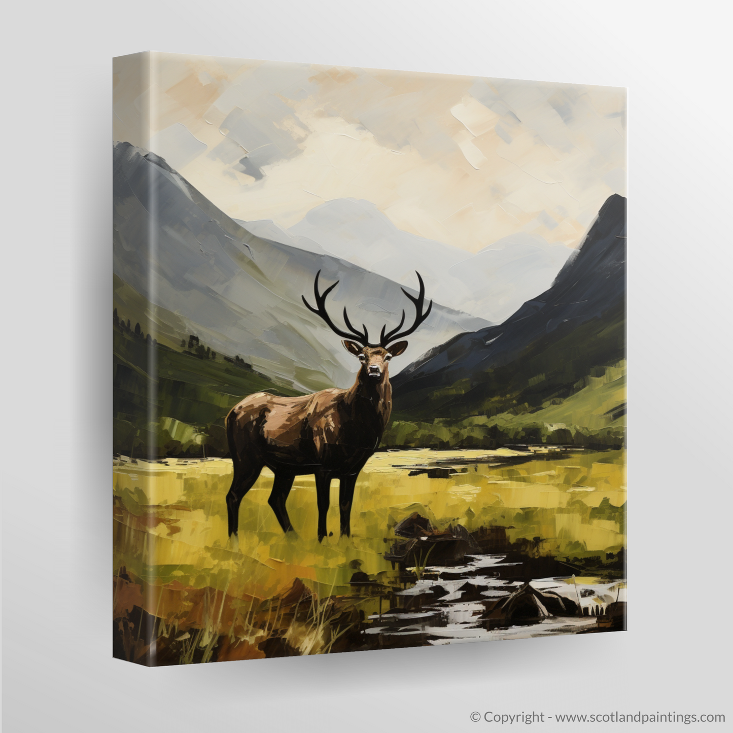 Canvas Print of A stag in Glencoe during summer