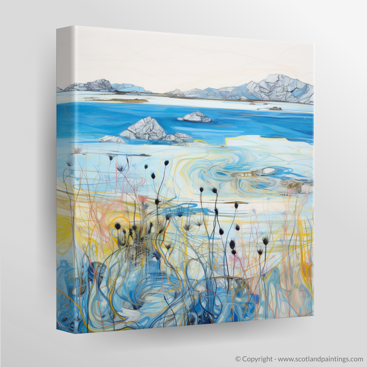 Canvas Print of Isle of Barra