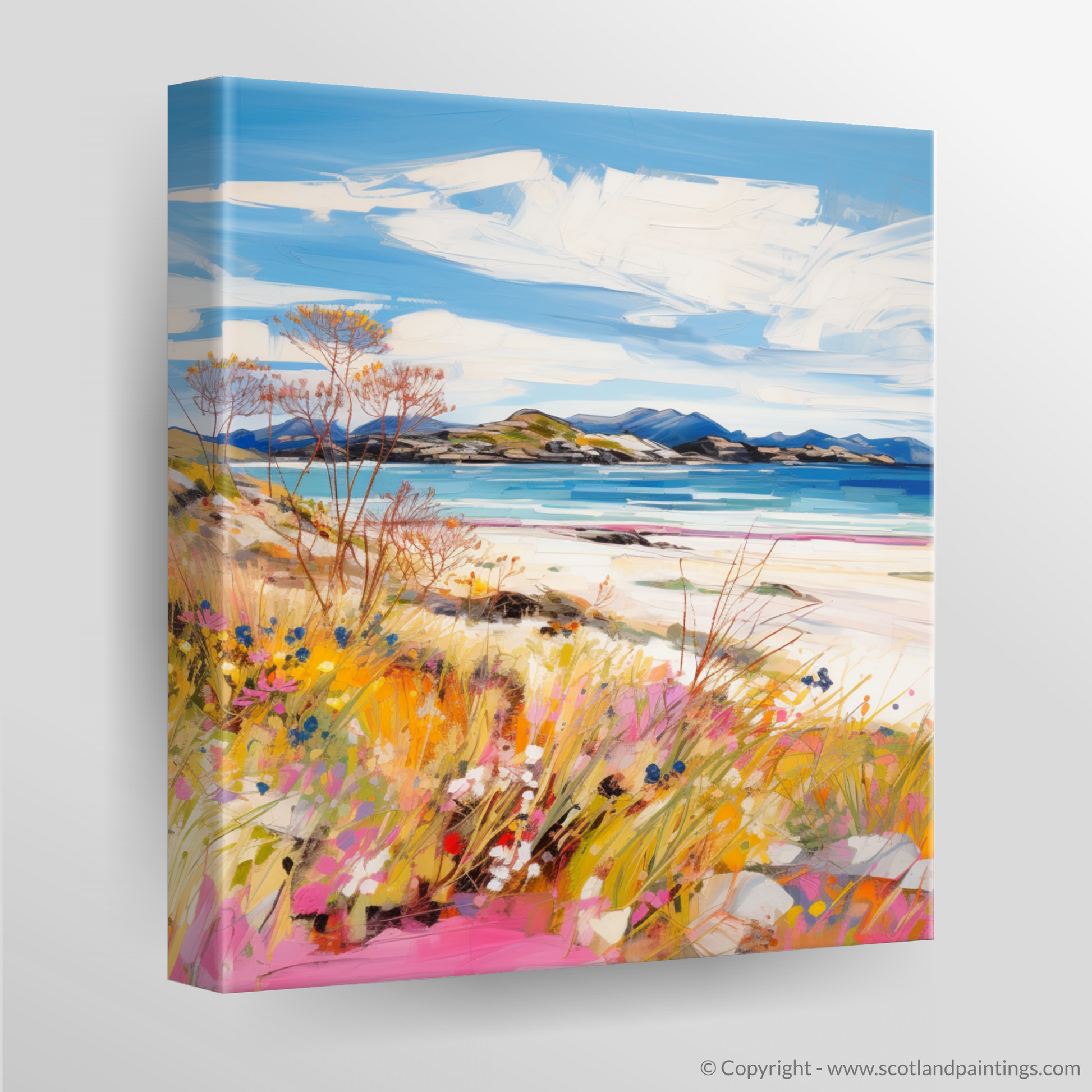 Canvas Print of Camusdarach Beach near Arisaig