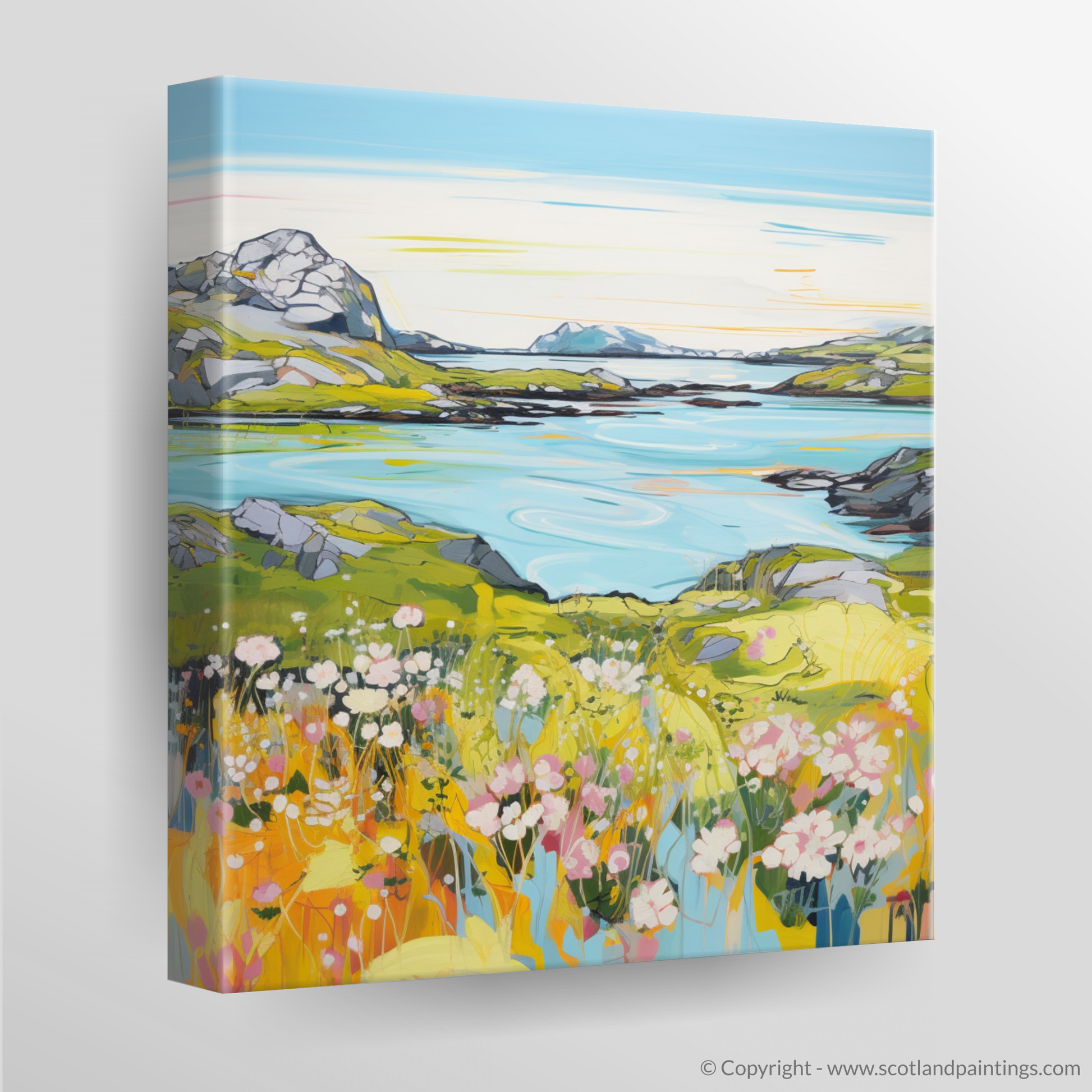 Canvas Print of Isle of Scalpay, Outer Hebrides in summer