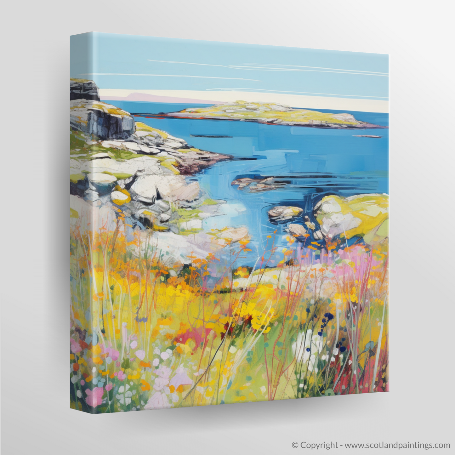 Canvas Print of Isle of Scalpay, Outer Hebrides in summer