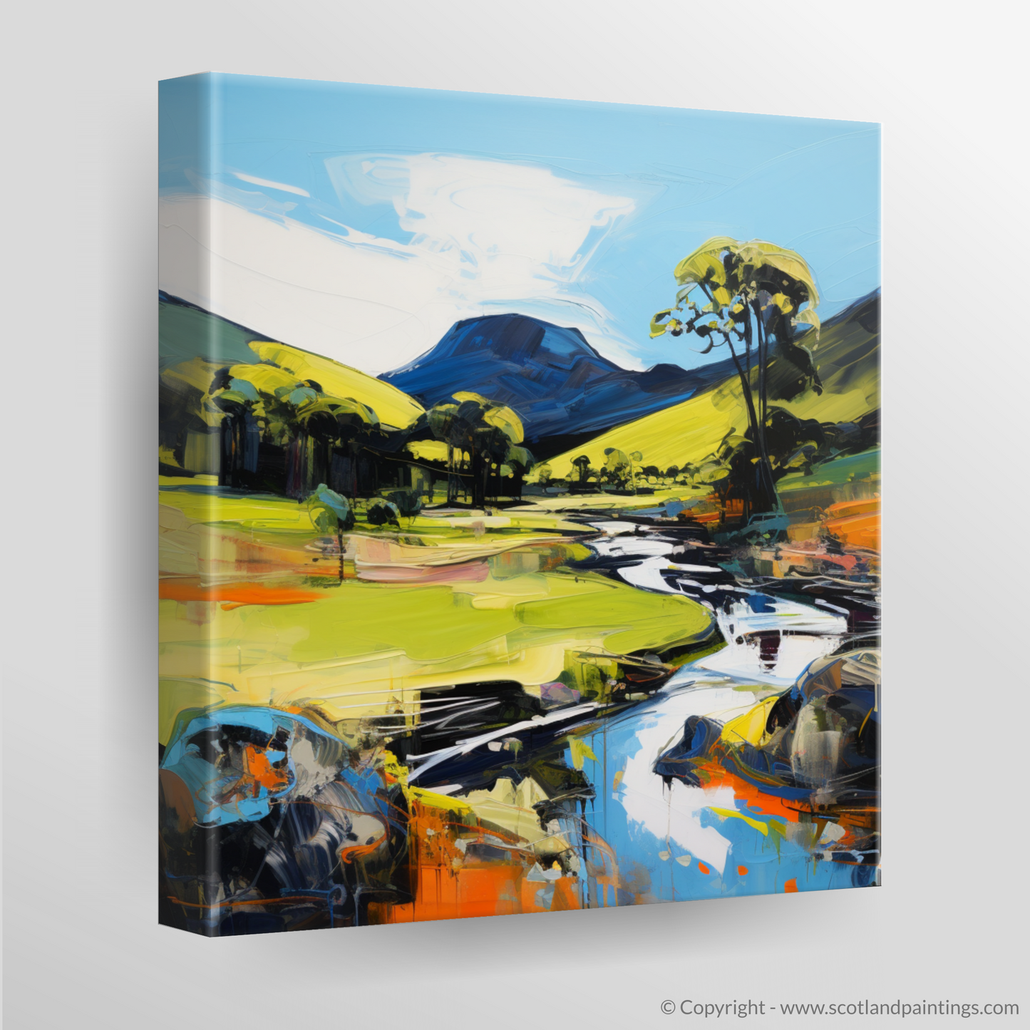 Canvas Print of Glen Esk, Angus in summer